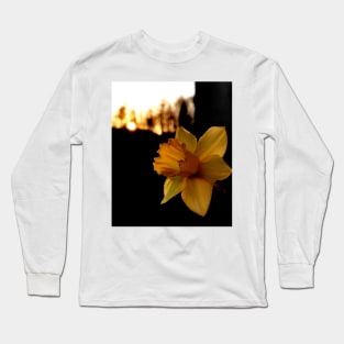 Daffodil at sunset Long Sleeve T-Shirt